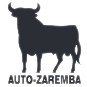 Zabudowa D47 z wywrotem na dwie strony